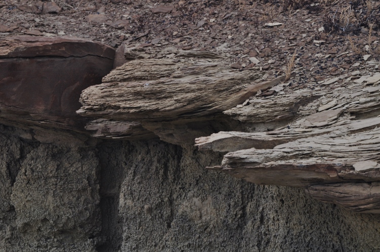 bisti wilderness